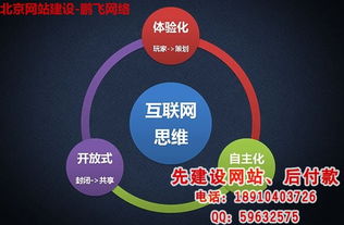 北京网站建设 专业工作室塑造企业数字化新名片