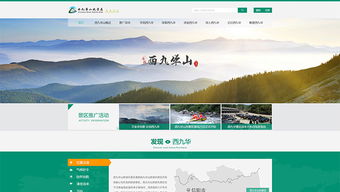 案例网思 北京网站建设的标杆与实践