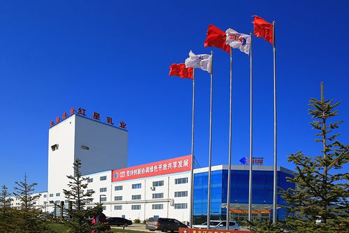 酷站科技签约红星乳业绿色乳制品集团官方网站建设